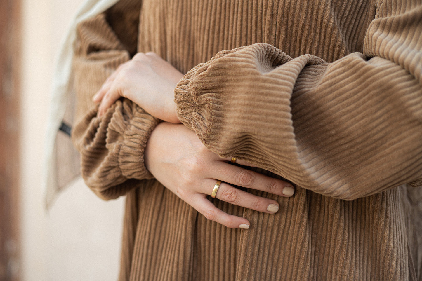 Velvet camel Dress